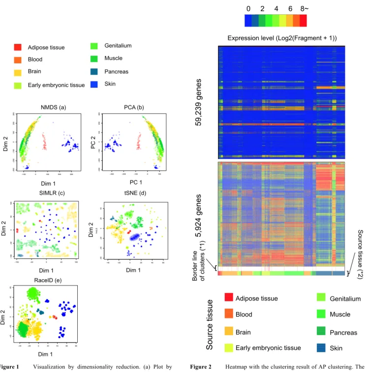 Figure 1 Visualization  by  dimensionality  reduction.  (a)  Plot  by  principal component 1 and 2 of PCA (b) Plot calculated  by  NMDS  (c)  t-SNE  based  plot  calculated  by  SIMLR  using learned cell-to-cell similarity, (d) Plot of tSNE (e)  t-SNE  bas