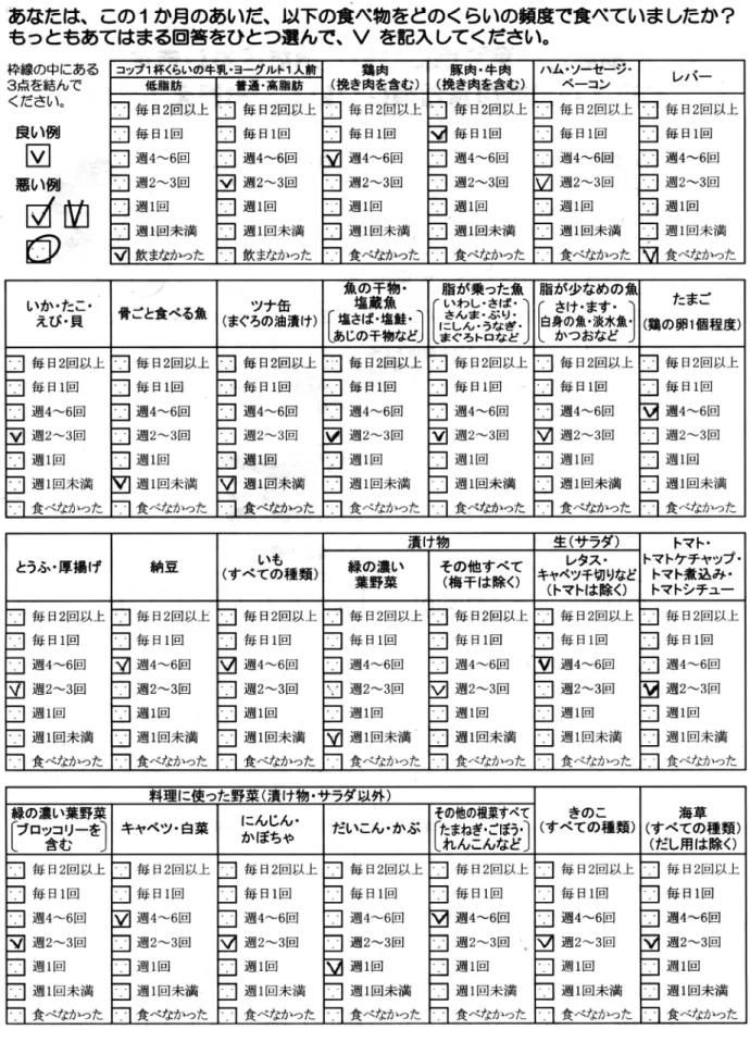 図 1 BDHQ の質問項目（一部抜粋）