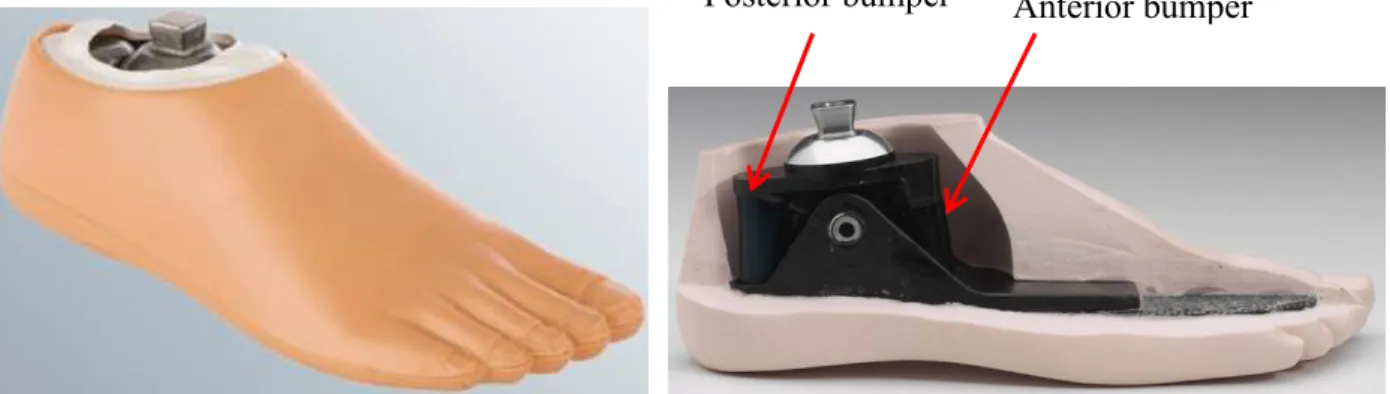 Fig. 2.4 Prosthetic foot of Single axis foot  Fig. 2.5 Structure of Single axis foot Posterior bumper Anterior bumper 