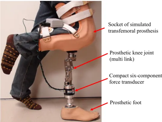 Fig. 2.11 Experiment view of prosthetic gait 
