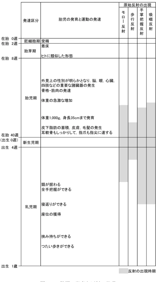 図  2.1  胎児の発育と反射の発現  モロー反射 歩行反射 手掌把握反射 吸啜反射胚細胞期胎芽期在胎在胎在胎0週2週8週皮下脂肪の蓄積，皮膚，毛髪の発生出生 1歳在胎 40週(出生 0週）出生 4週胎児期乳児期新生児期骨格・筋肉の発達ヒトに類似した形態受精着床外見上の性別が明らかとなり，脳，眼，心臓，四肢などの重要な諸臓器の発生 反射の出現時期発達区分座位の獲得寝返りができる頸が据わるつたい歩きができる全手把握ができる挟み持ちができる原始反射の出現胎児の発育と運動の発達耳軟骨もしっかりして，指爪も指尖に