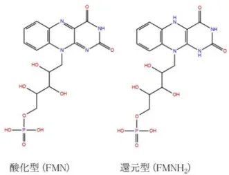 図  2.  フラビンモノヌクレオチドの構造式 