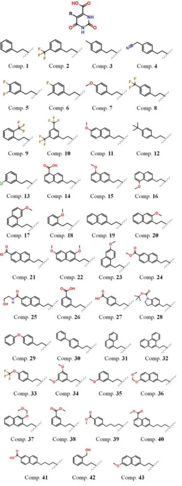 表  1. DHODH  と母核間の相互作用エネルギー(kcal/mol) 