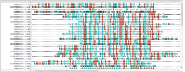 図 4 X 染色体 miRNA のマルチプルアライメント結果（抜粋）