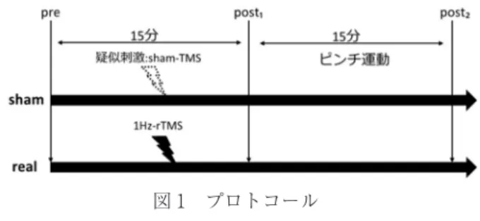 図 1　プロトコール