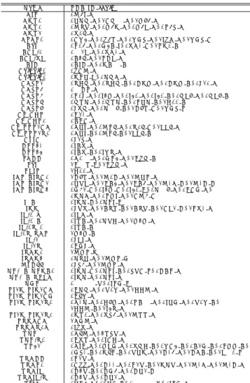 Table 3 PDB chains of human apoptosis pathway protein from hsa04210 KEGG pathway (158 chains).