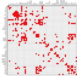 Fig. 2 An example of a PPI network matrix obtained from apotosis PPI network.