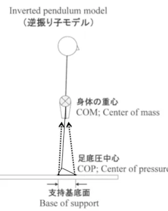 図 6  静止立位時の逆振り子モデル（長谷 11) より引用一部改変） 