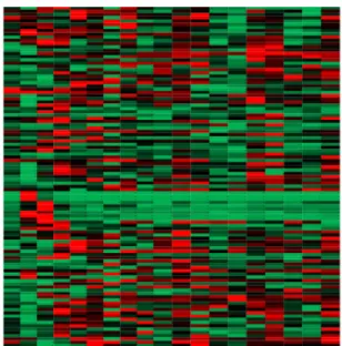 Fig. 2 (b) shows our prediction with