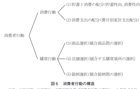 図 6  消費者行動の構造