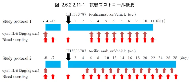 図  2.6.2.2.11-1    試験プロトコール概要 