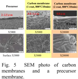 Fig. 1    Pyrolysis of LC (Hinoki).    CH3