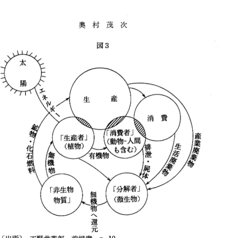 図 3 還 7G  〔出所〕 玉野井芳郎，前掲書. p .  1 9 0  されるひとつの自律系のことである。」図 3 に示されるように，太陽エネノレギーを受けた植物 は同化作用によって酸素と葉緑素を生産し，それは動物(人聞をふくむ)によって消費される。 動物(および植物〉の排世物や屍体は，土中の徴生物によって分解され，無機物に還元される。 この聞に日光と水と土壌がきわめて重要な役割を果たす。この生物循環を通じて生態系は維持 される。 人間自身がこの生態系という自律系の中に生きている生物種の一つにほかならな