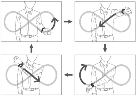 Fig. 4 Brevity calibration motion. 