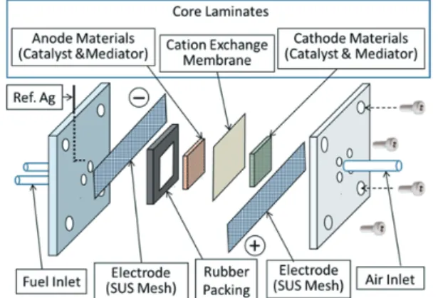 Fig. 1 Structure of handmade biofuel cell. 