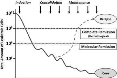 Fig. 1　 The concept of  “ Total cell kill theory ”  for leukemia treatment