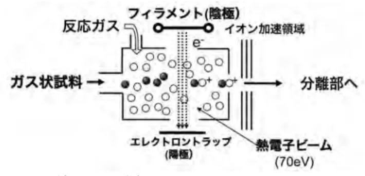 Fig. 6. 1． LSIMS と FABMS のイオン源（ JEOL Ltd.  資料より抜粋）