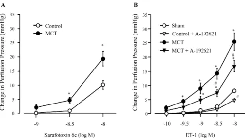 Figure 6.  Concentration-response curve of sarafotoxin 6c (A) and ET-1 (B) in isolated perfused lung  preparations of monocrotaline (MCT)-treated rats 4 weeks after MCT injection