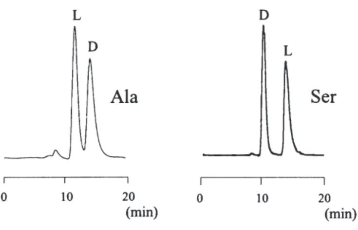 Fig. 2. Enantiomer separation of Ala and Ser by (+)-18C6H 4  column. Chromatograms were  obtained by using 100% water containing 1 mM perchloric acid as mobile phase,  with a flow rate  of 0.2 mL/min at 0 °C (UV 200nm detected).