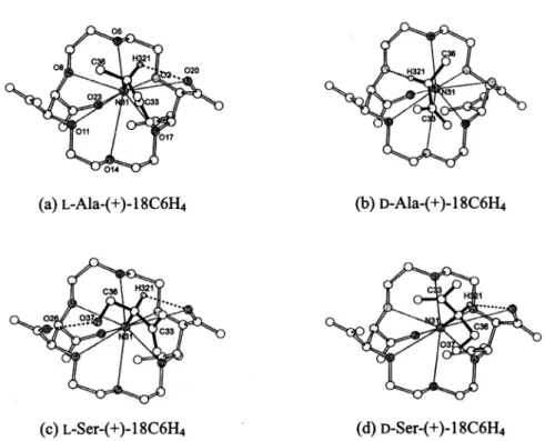 Fig. 3. Stereoscopic views of molecular interactions of (a)  L -Ala, (b)  D -Ala (c)  L -Ser and  (d)  D -Ser with (+)-18C6H 4 , viewed perpendicular to the crown ether ring