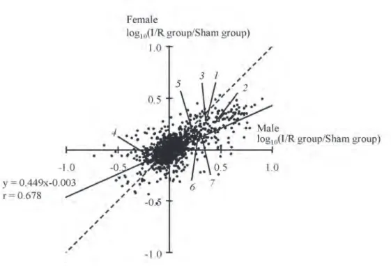 Figure  3.  The  profile  of  a  change  ration  in  proteins  gel  spots  of  male  and  female  rat  kidneys  after  reperfusion