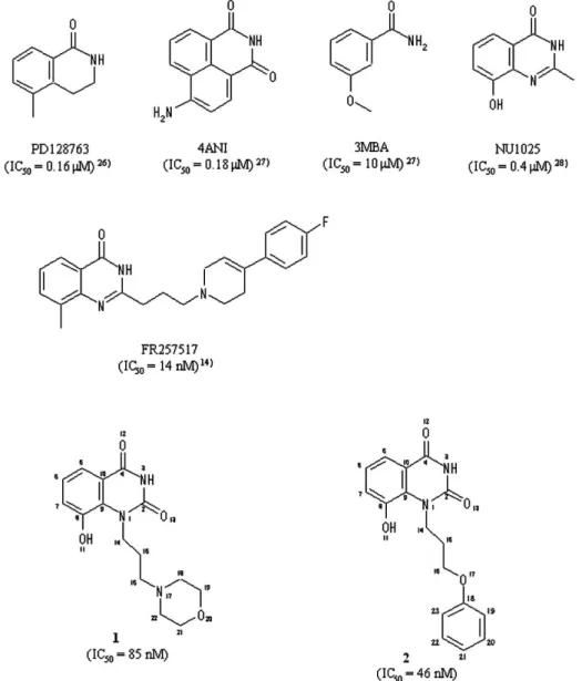 Fig. 2  Chemical structures and IC 50  values for PARP of PD128763, 4ANI, 3MBA, NU1025,  FR257517, 1 and 2, together with atomic numberings of 1 and 2 used in this work.