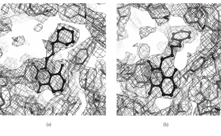 Fig. 4  Electron-density maps of 1 (a) and 2 (b) bound to the PARP-CD active site. The inhibitors and the  protein are indicated by ball-and-stick form and stick form, respectively