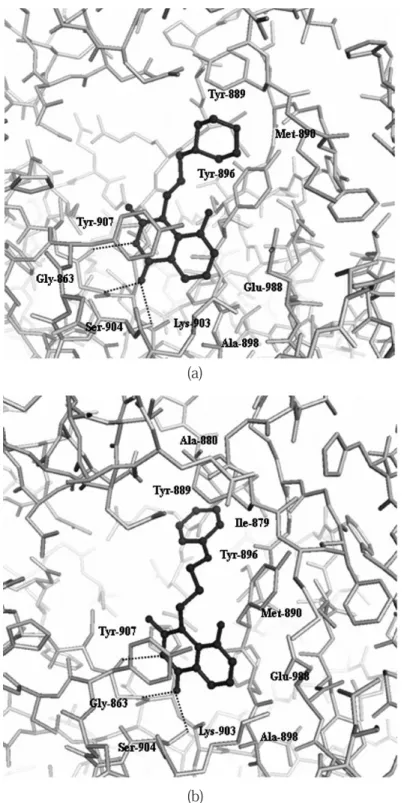 Fig. 5  Binding modes of 1 (a) and  2 (b) with PARP-CD active site. The inhibitors and the protein are  indicated by ball-and-stick form and stick form, respectively