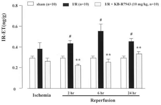 Figure 4.  Effects of KB-R7943 administered before I/R on immunoreactive endothelin-1 content in the  kidney of ARF rats at the end of 45-min ischemia and at 2, 6, and 24 h after reperfusion