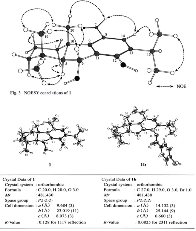 Fig. 3   NOESY correlations of 1