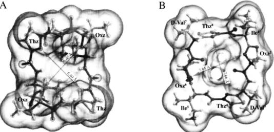 Fig. 6. Crystal structure of ASC8.
