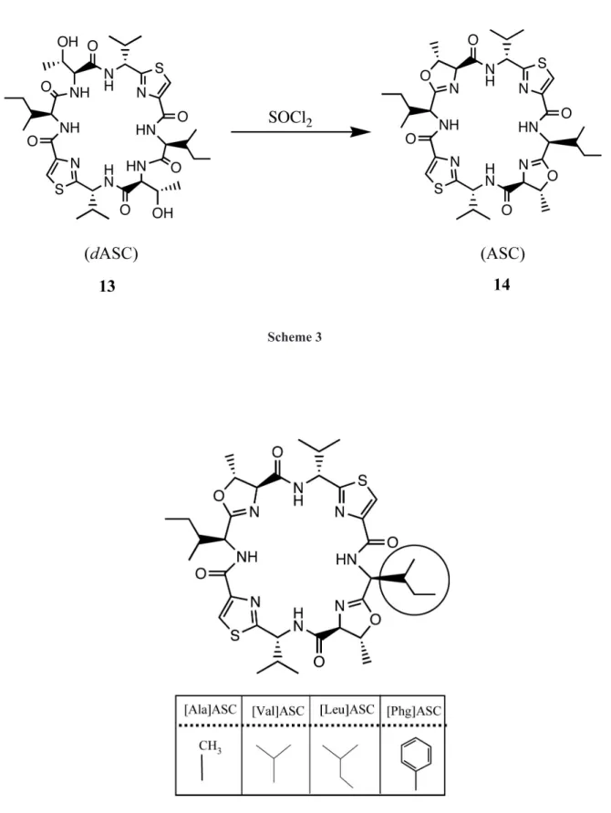 Fig. 2.  Changes in HCV core antigen expressed as log reduction  in chronic hepatitis C patients treated with PEG-  interferon- α 2b plus ribavirin therapy for 4 weeks