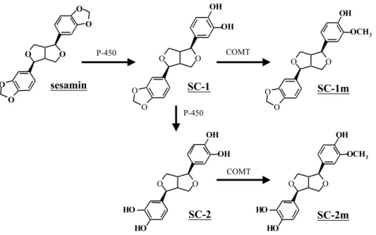 Figure 1. Chemical structures of sesamin and its metabolites