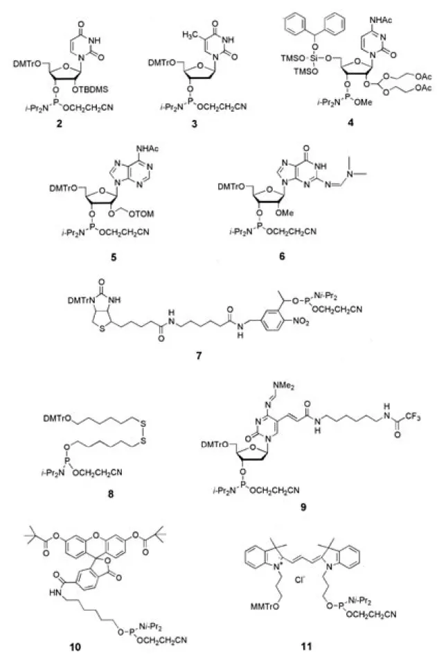 Fig. 2.  Structure of PAs. 