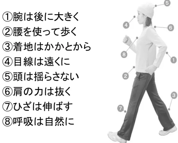図 6  ウォーキングのポイント（サンケイリビングより）  言われている．  10．準備運動・整理運動のストレッチング    運動の前後に何故ストレッチングをやるのか．効果と して考えられているのは  ①動作がスムーズになる  ② ケガを予防する  ③血液循環が良くなる  ④コリを和ら げる  ⑤運動後の疲労回復を促す  ⑥リラックス効果が 得られる  等である．実施に際してははずみ（反動）を つけないように注意し，息を吐きながらペアになってい る筋肉を交互に伸ばし，その姿勢を保ってから元の姿勢 に息を吸い