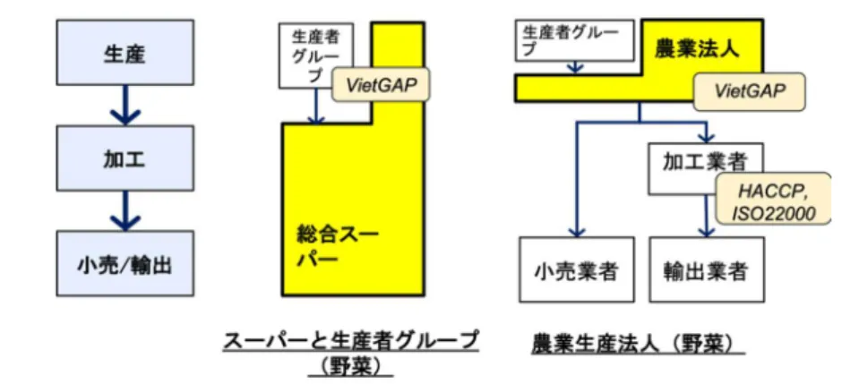 図 13  サプライチェーンと認証：農業協同組合 N とスーパーV（左） 、農業生産法人 P（右）  ④  スーパーマーケットA社  A社は、消費者に安心安全な食品を提供するため、調達基準としてVietGAPの実践を求める自社 基準を設けている。農家から調達する際は、農産部門担当者が農場を訪問して生産プロセスを 確認し、QC部門担当者が使用農薬等を確認し、基準を満たしているか確認が取れてから契約す る。  写真1：スーパーで販売のVietGAP認証野菜  写真2：スーパーで販売のVietGAP認証果物  写