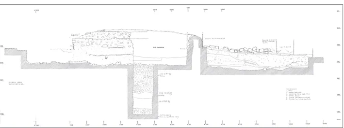 Fig. 6: Perfil de Norte a Sur, con vista al Este de estructura 9L-100