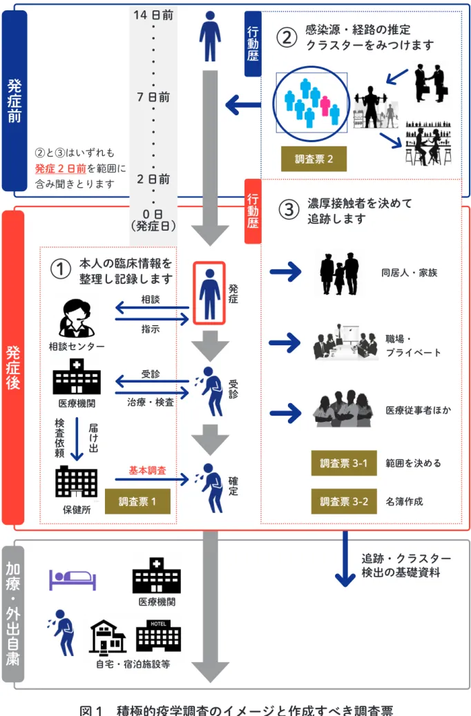 図 1　積極的疫学調査のイメージと作成すべき調査票発症前加療・外出自粛自宅・宿泊施設等医療機関 追跡・クラスター検出の基礎資料行動歴感染源・経路の推定クラスターをみつけます②調査票 2発症後調査票 1行動歴濃厚接触者を決めて追跡します③調査票 3-1調査票 3-2同居人・家族職場・プライベート医療従事者ほか範囲を決める名簿作成本人の臨床情報を整理し記録します①医療機関相談センター保健所届け出検査依頼確定受診発症基本調査治療・検査受診指示相談②と③はいずれも発症 2 日前を範囲に含み聞きとります14 日前・・
