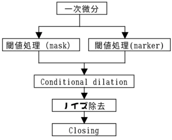 図 ２ ） watershed-algorithm の 流 れ は 目 的 領 域 で あ る 肺 領 域 以 外 の 領 域 ま で 抽 出 し て し ま う と い う 問 題 が 出 た(図 2-(c))