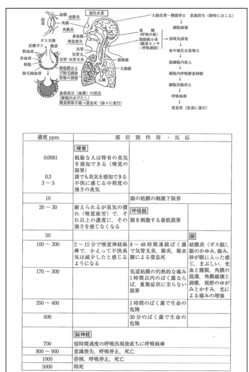図 18  硫化水素の人に及ぼす作用 