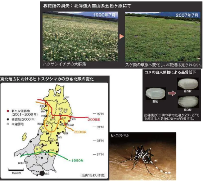 図 国 確認 い 地球温暖化 影響