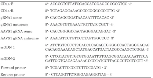 Figure 1　1α ,25-DihydroxyVitamin D (Vit. D3) による HL-60の単球系細胞への分化