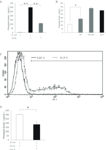 Figure 2　HL-60におけるプレセプシン産生と貪食の影響