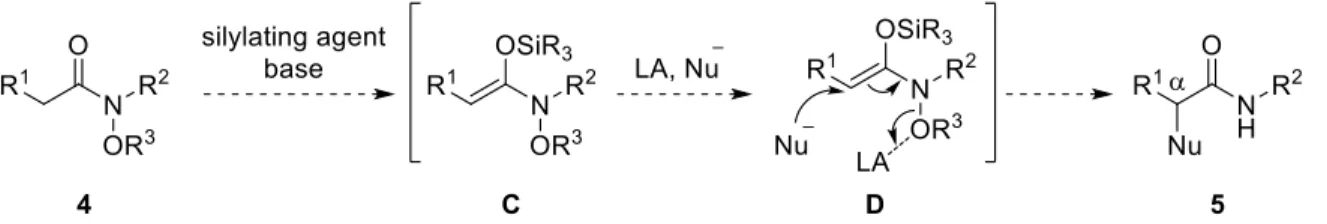 Table 1. Optimization of reaction conditions for the nucleophilic phenylation of  N,O-ketene acetal  generated in situ from 6a
