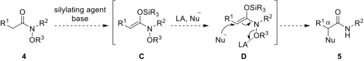 Table 1. Optimization of reaction conditions for the nucleophilic phenylation of N,O-ketene acetal generated  in situ from 6a
