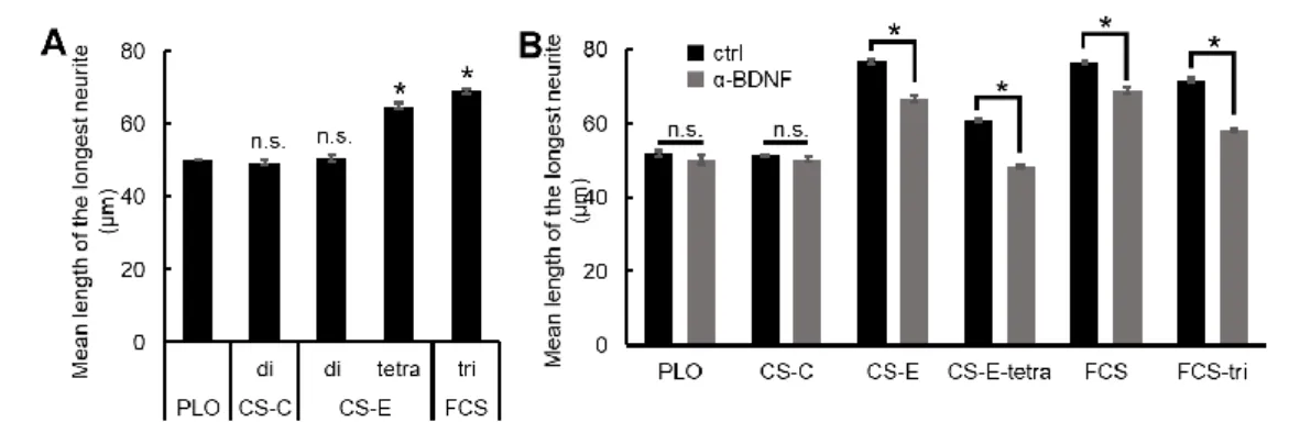 Fig. 3  A. japonicus 由来 FCS および FCS-tri の in vitro における神経突起伸長促進活性  A. PLO コート上に合成 CS オリゴ糖（CS-C-di または CS-E-di、CS-E-tetra、FCS-tri）（15 µg/mL）をコ ートした基質上で、海馬神経細胞を 24 時間培養した。細胞を固定後、Cy3 標識抗 β チューブリン抗体お