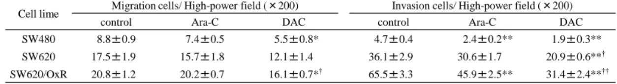 表 1 DAC 処置による運動能及び浸潤能の変化