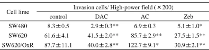 表 2 DNMT 阻害薬処置による浸潤能の変化
