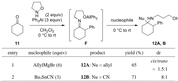 Table 6. Sequential -phenylation/nucleophilic addition of N-alkoxyenamine from 11. 