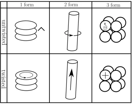 図 6 3 次元空間中の form の Faraday-Schouten 図 11 体積形式 計量付きの n 次元実ベクトル空間を考えます . ここで , ねじれ n 形式である体積形式を 定義します 